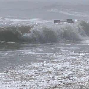 Meet your Posher, Charissa